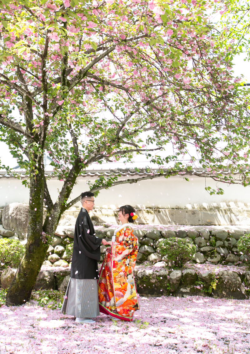 シャッターチャンス!花吹雪の中で!