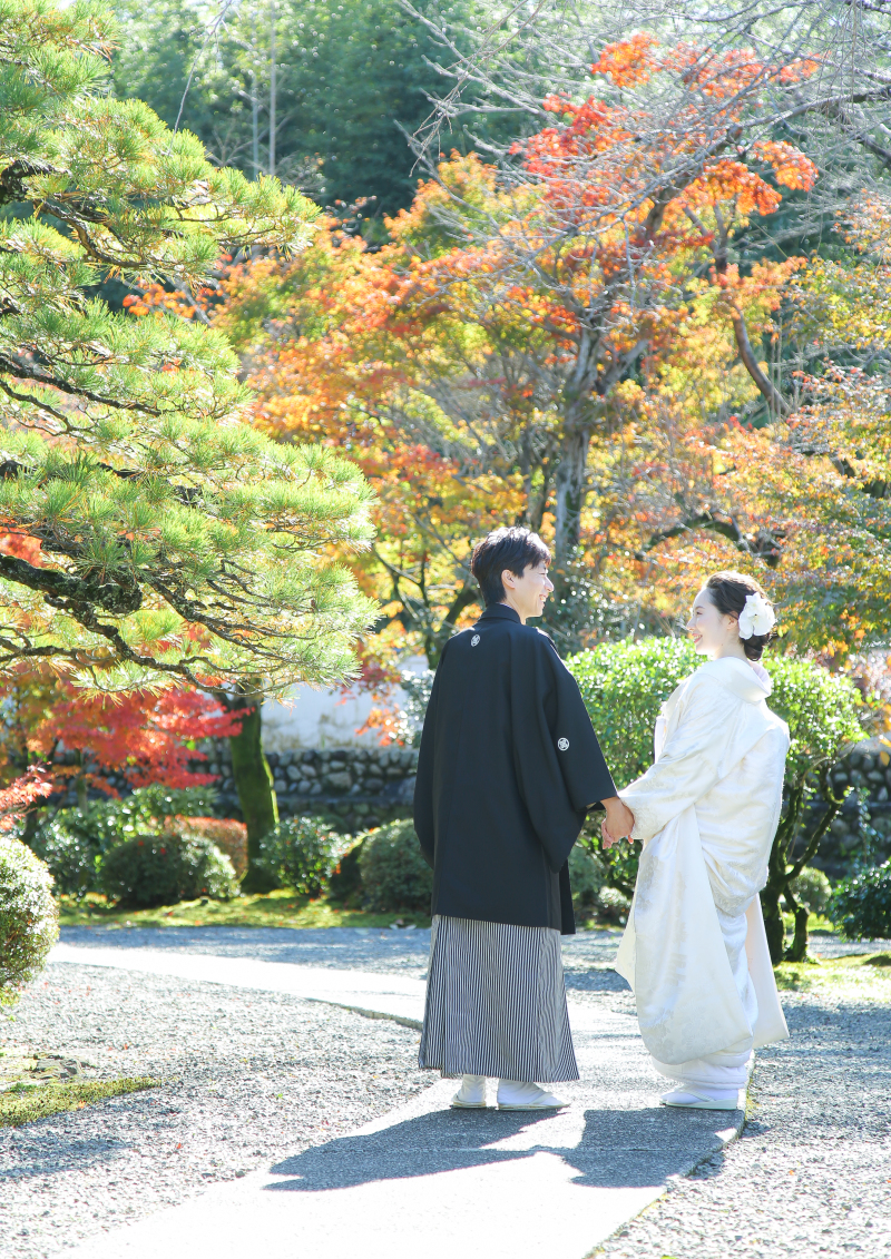 門から続く石畳で後ろ姿