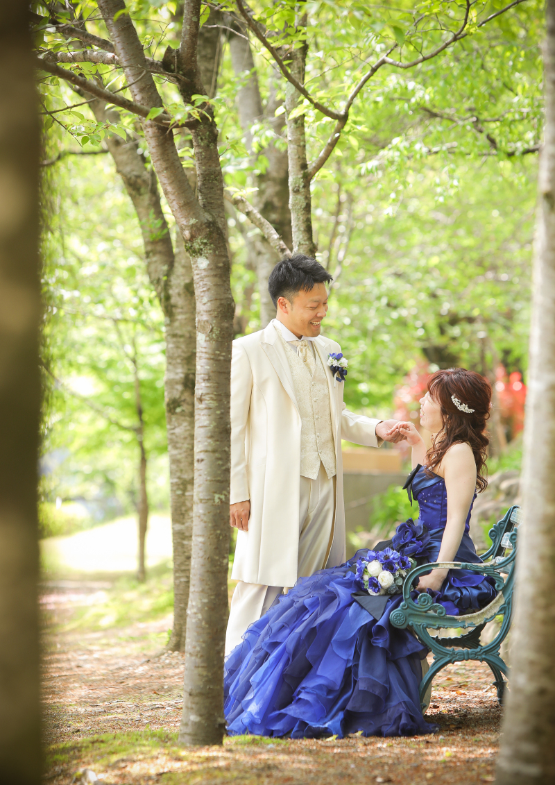 並木道の木の間から