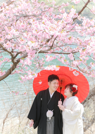 河津桜が満開です♪