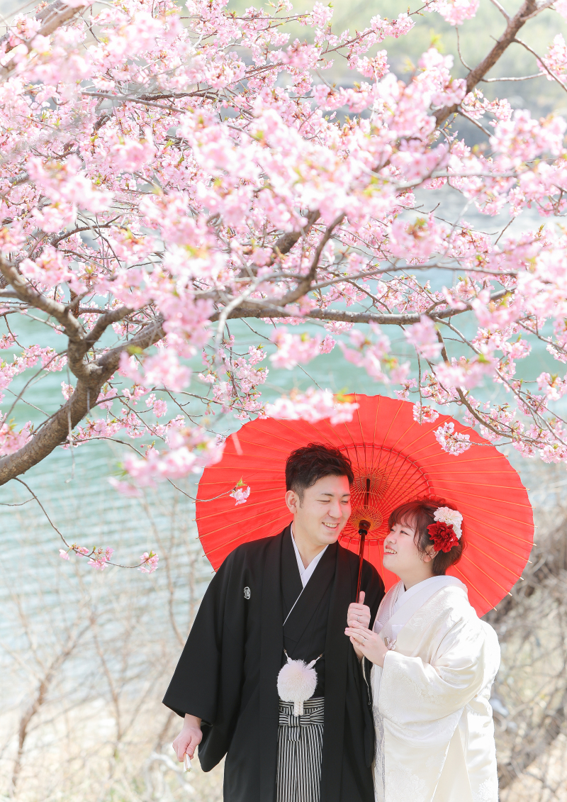 河津桜が満開です♪