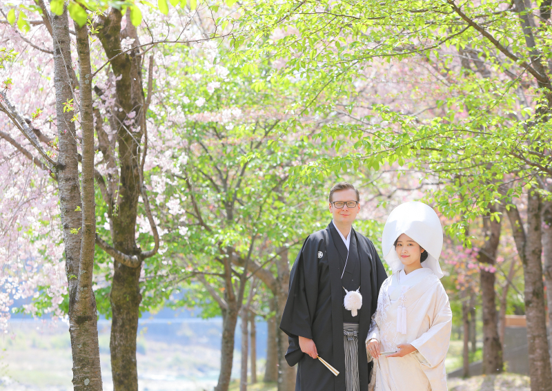 枝垂桜と新緑と