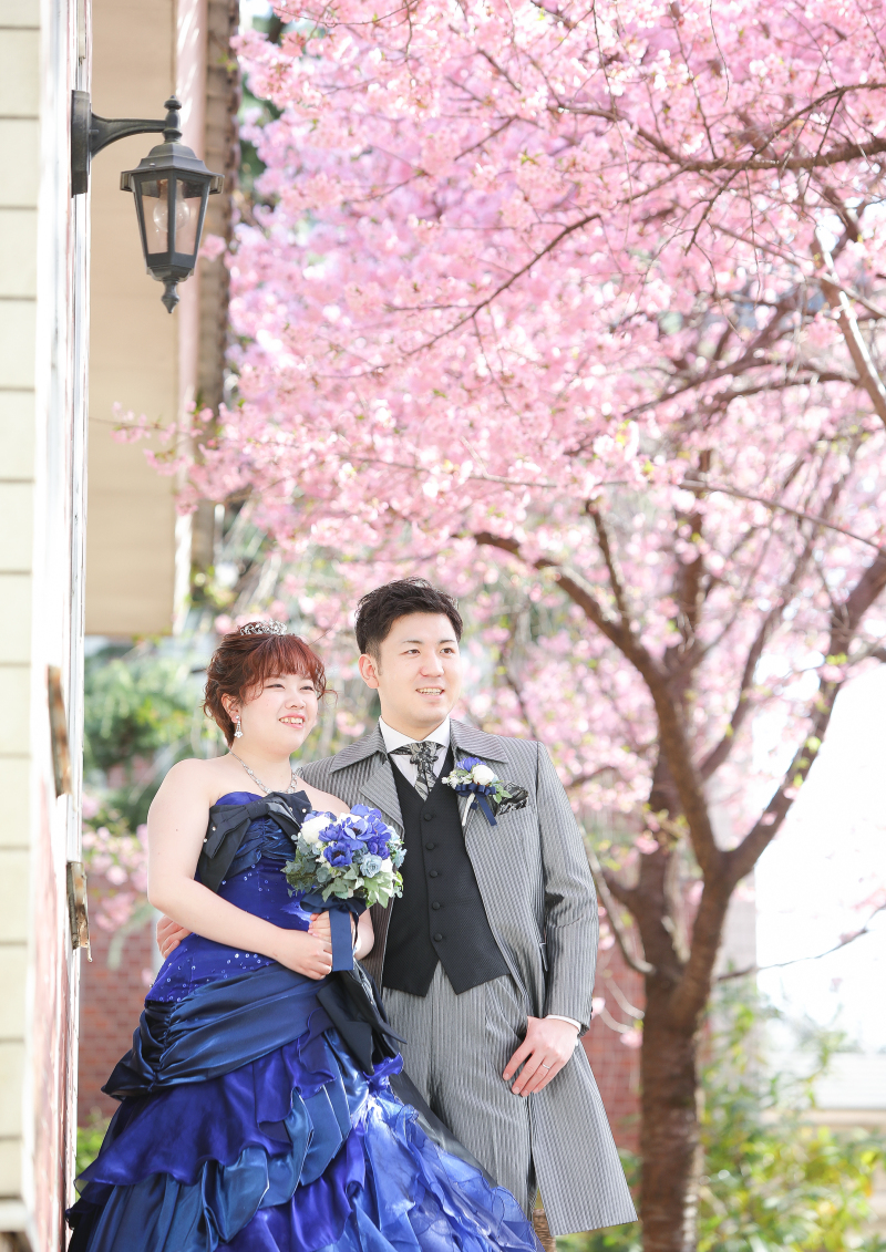 後藤別荘横の桜でも♪