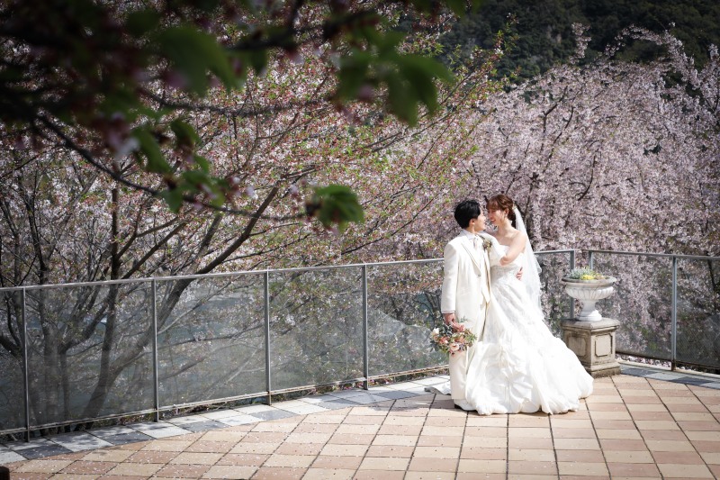 サクラロケーションフォト