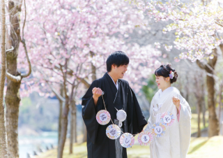 和＆洋2着プラン　敷地内の河津桜も綺麗に咲きました！！