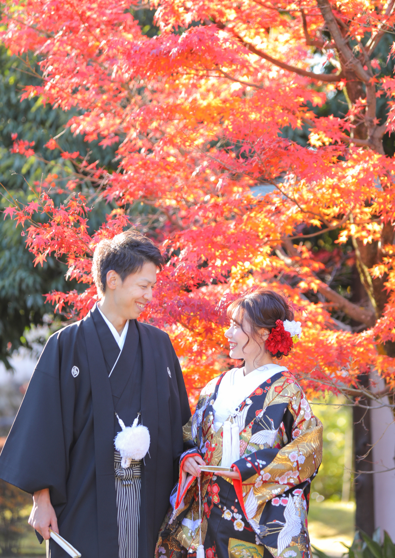 見ごろな紅葉とともに