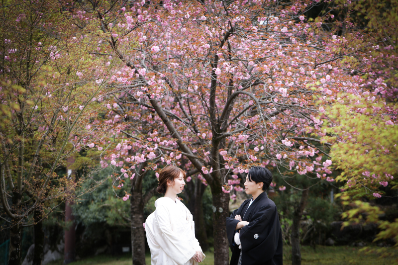 サクラのロケーション撮影