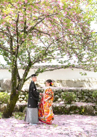 桜と新緑どちらも素敵でした！