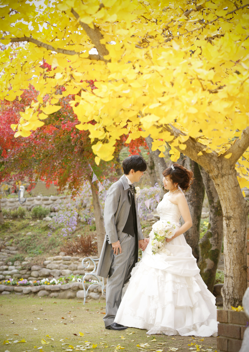 敷地内には四季折々の木々があります。