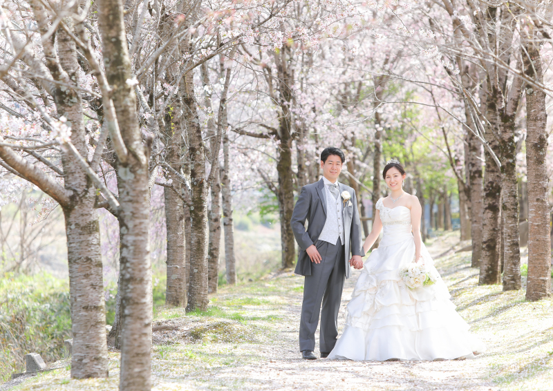 桜並木で手をつないだお写真も!