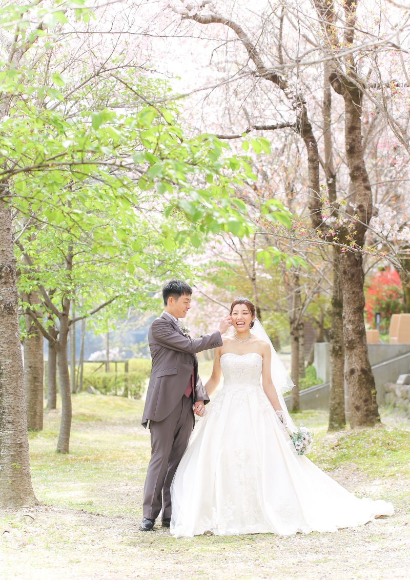 新緑とソメイヨシノと