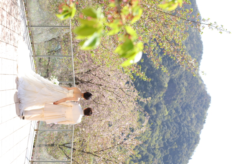 テラスに出ると…