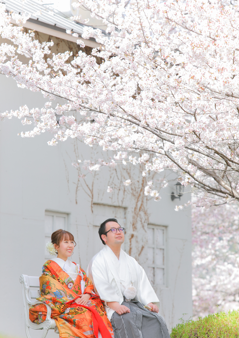 お花見風のお写真も♪