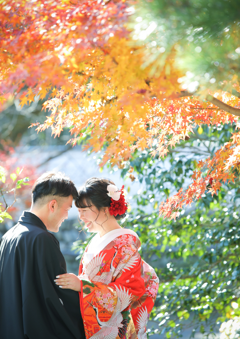 おでこごっつん