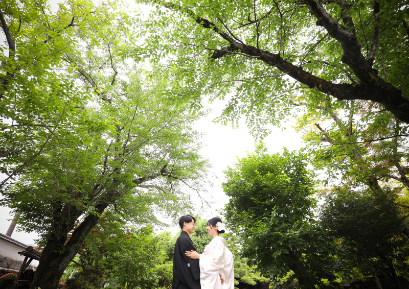 新緑を活かした自然豊かなお写真も