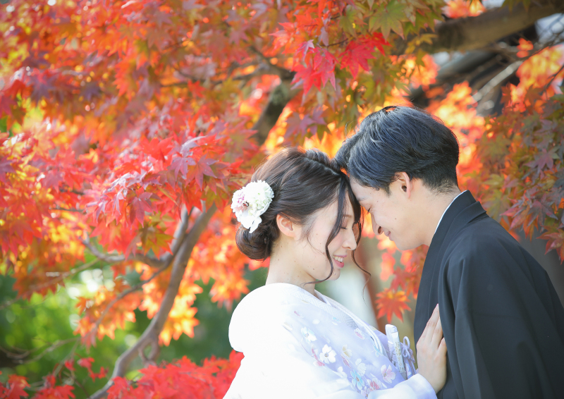 おでこごっつん