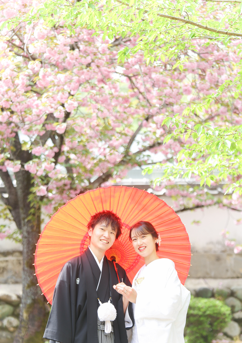 満開の八重桜とも