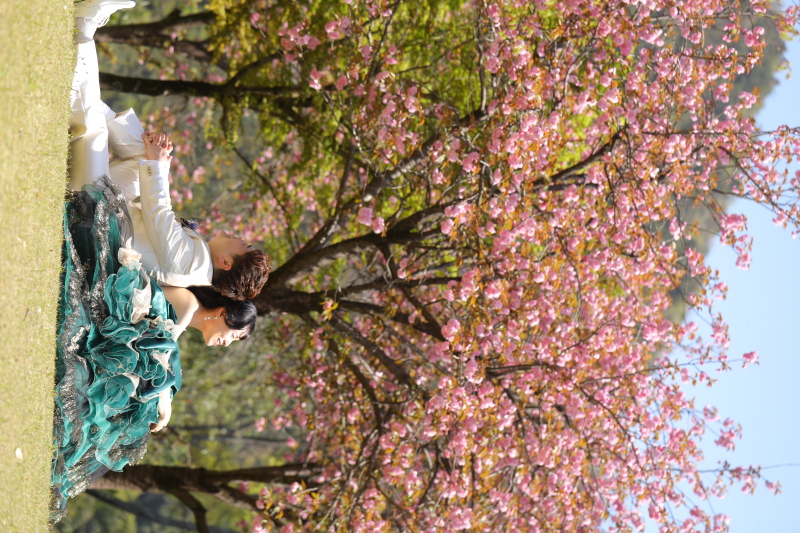 青空を見上げて