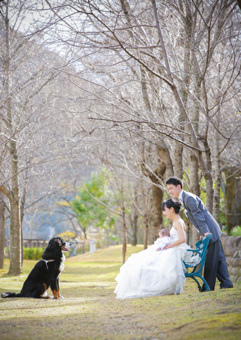 ペットも一緒!お子さんも一緒!和洋装2着プラン