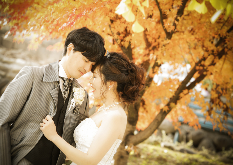 アップの写真は是非撮っておきたいです。