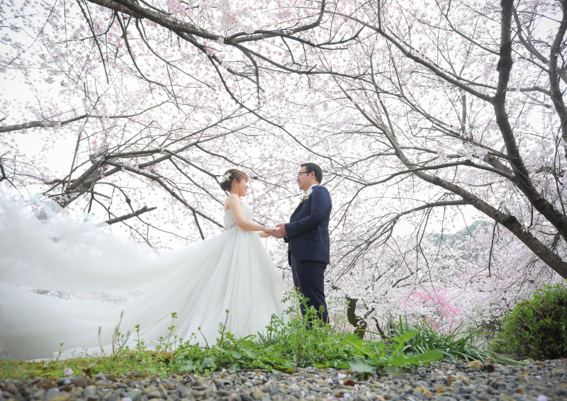 満開の桜を背景に♪