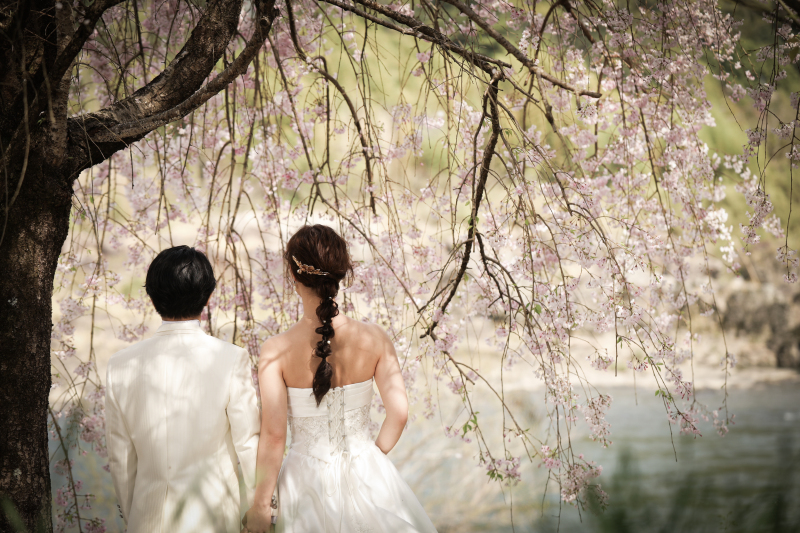 サクラロケーションフォト