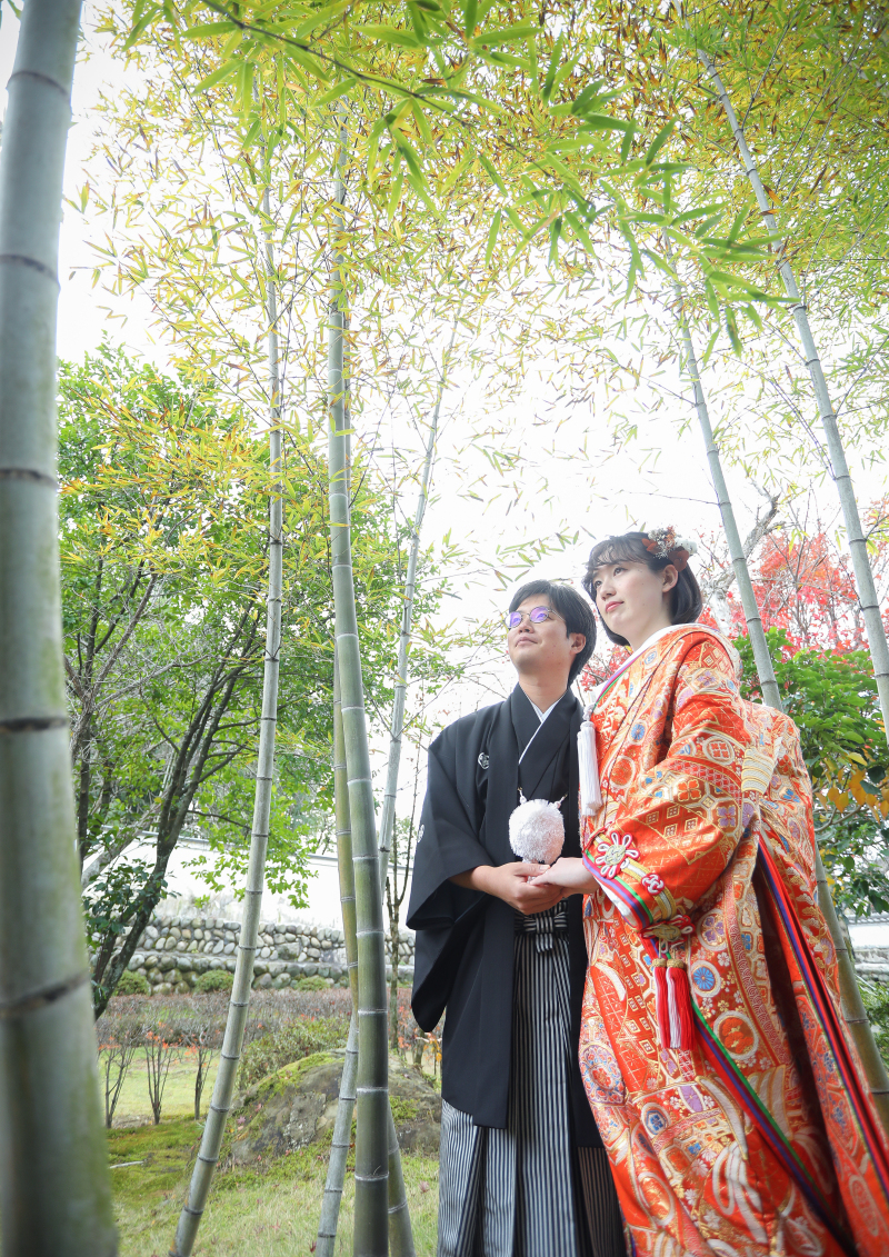 敷地内には竹や紅葉など自然が豊かな場所も