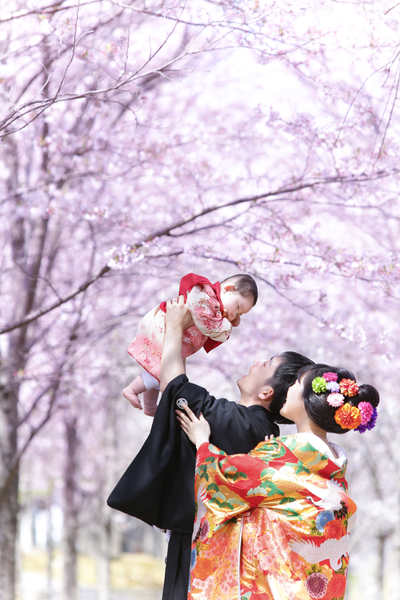 圧巻の桜並木も敷地内にあります。
