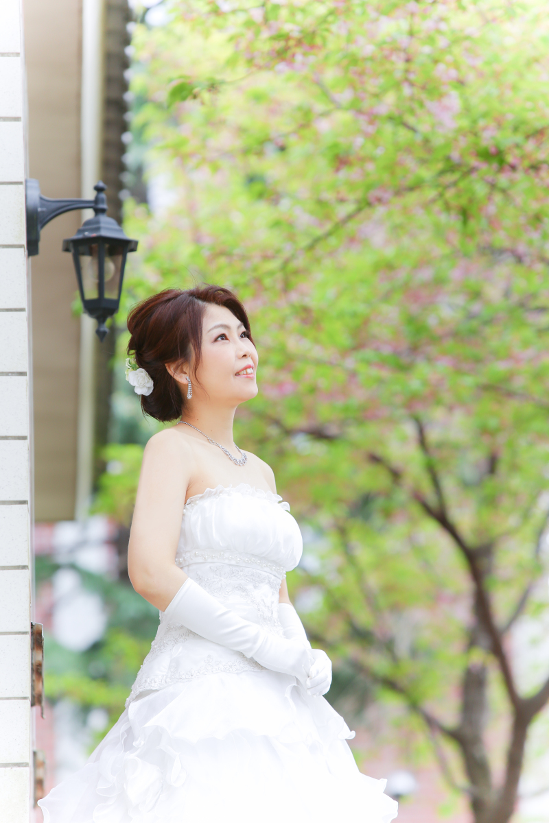 背景の緑が良いですね