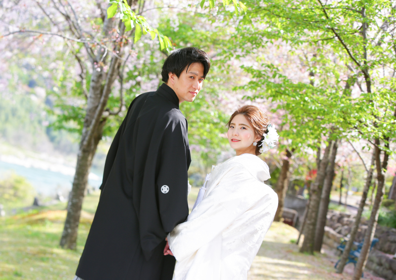 桜と新緑を背景に!