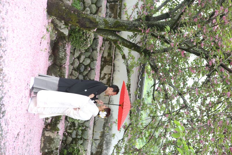 サクラヒルズ創寫舘_庭園で撮影できる