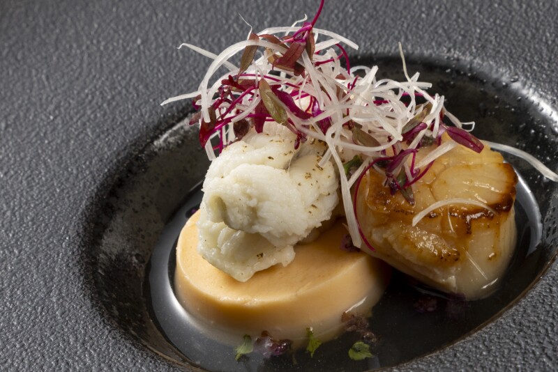 厳選した旬の素材を生かした料理に舌鼓