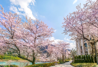 サクラヒルズ創寫舘_迎賓館サクラヒルズ川上別荘のフォトウェディング