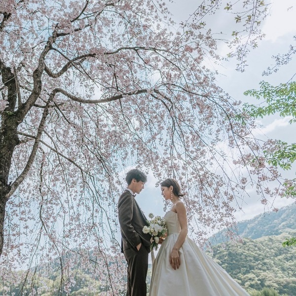 20以上ある撮影シーン