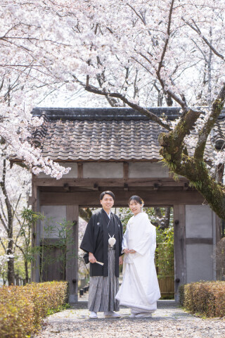 サクラヒルズ創寫舘_【桜】400本以上の桜が咲き誇る春
