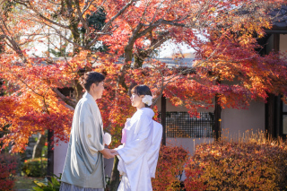 サクラヒルズ創寫舘_【紅葉】木々が美しく彩る季節