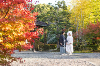 サクラヒルズ創寫舘_【紅葉】木々が美しく彩る季節