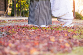 サクラヒルズ創寫舘_【紅葉】木々が美しく彩る季節