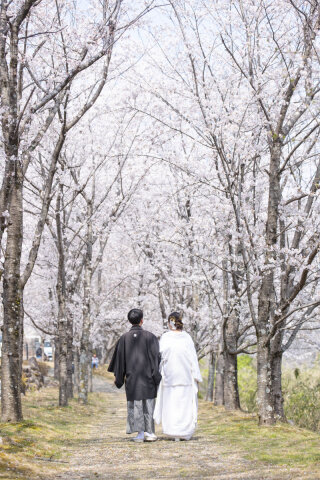 サクラヒルズ創寫舘_【桜】400本以上の桜が咲き誇る春