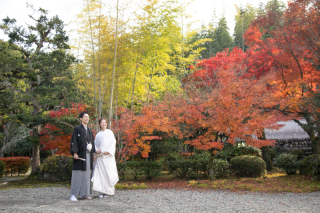 サクラヒルズ創寫舘_【紅葉】木々が美しく彩る季節