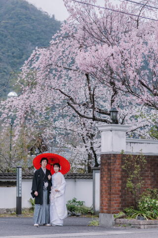 サクラヒルズ創寫舘_【桜】400本以上の桜が咲き誇る春