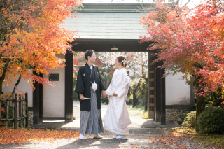 サクラヒルズ創寫舘_【紅葉】木々が美しく彩る季節