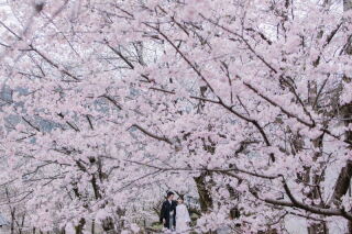 サクラヒルズ創寫舘_Sakurahillsおすすめカット1