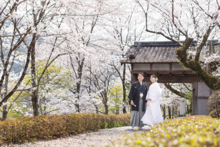 サクラヒルズ創寫舘_【桜】400本以上の桜が咲き誇る春