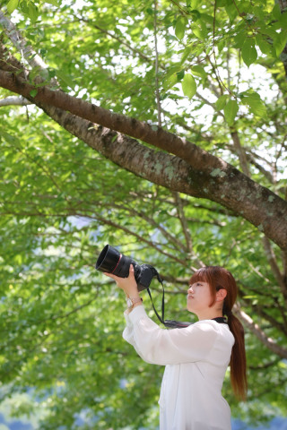 あみ