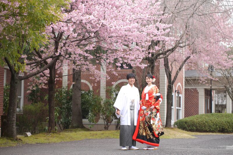 期間延長！3月20日まで！サクラヒルズ20周年記念Winterプラン　和洋2着データ200カット付