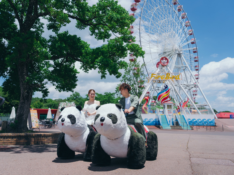 【遊園地&チャペルでのウェディングフォト】日本モンキーパーク+サクラヒルズプラン