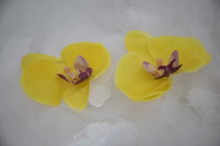 ヘアアクセサリー