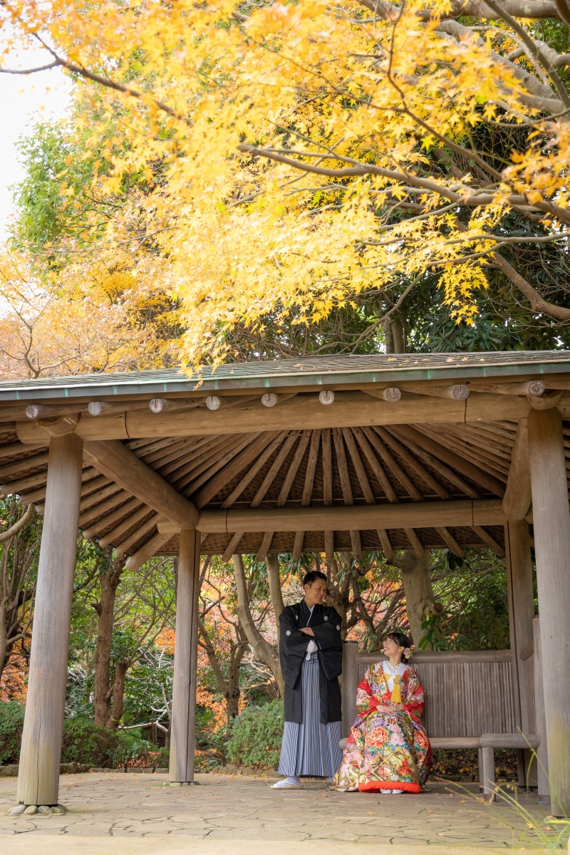 見浜園の黄色い紅葉