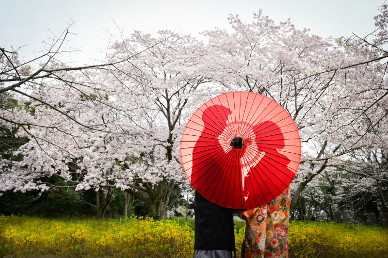 シルエット撮影も